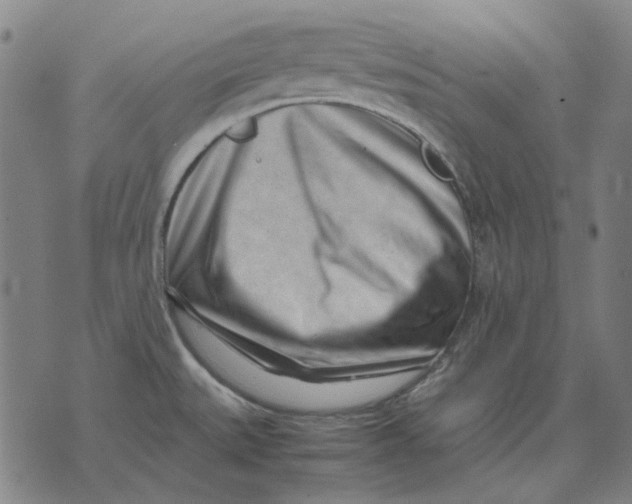 X0000071921527200607281840