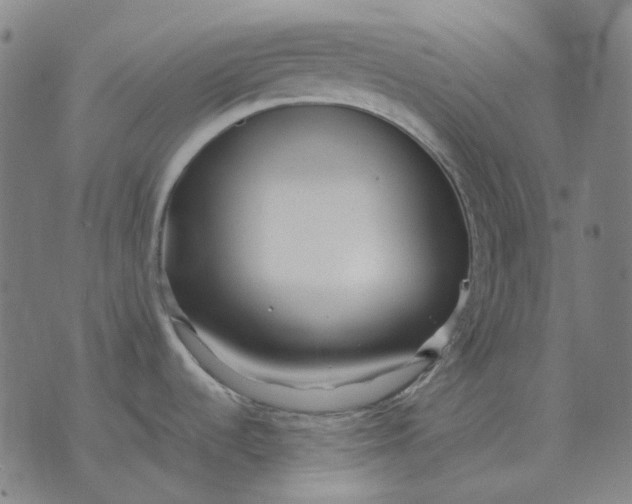 X0000071921536200607281841