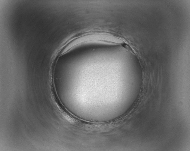 X0000071920005200608041447