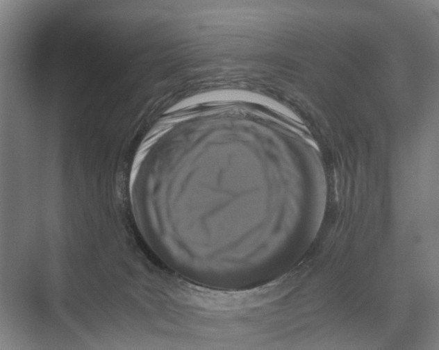 X0000071920035200608041446