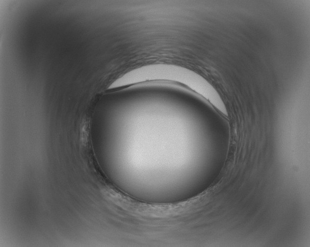 X0000071920037200608041446