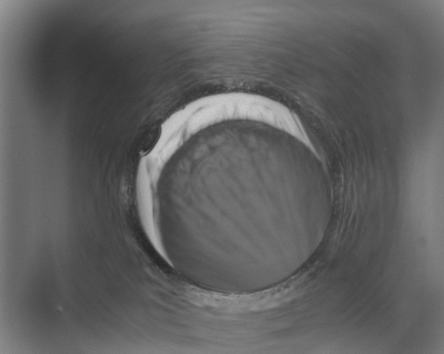 X0000071920039200608041446