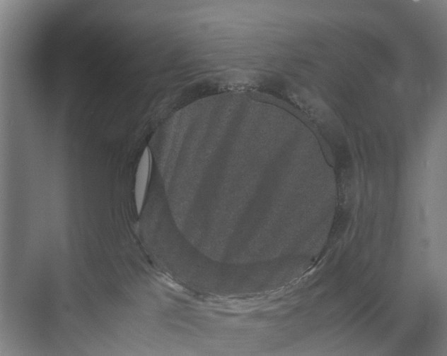 X0000071920041200608041446