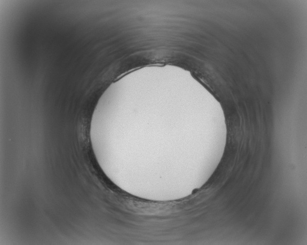 X0000071920044200608041446