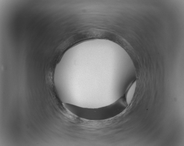 X0000071920045200608041446