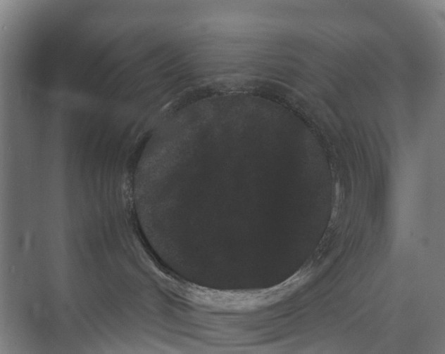 X0000071920048200608041446