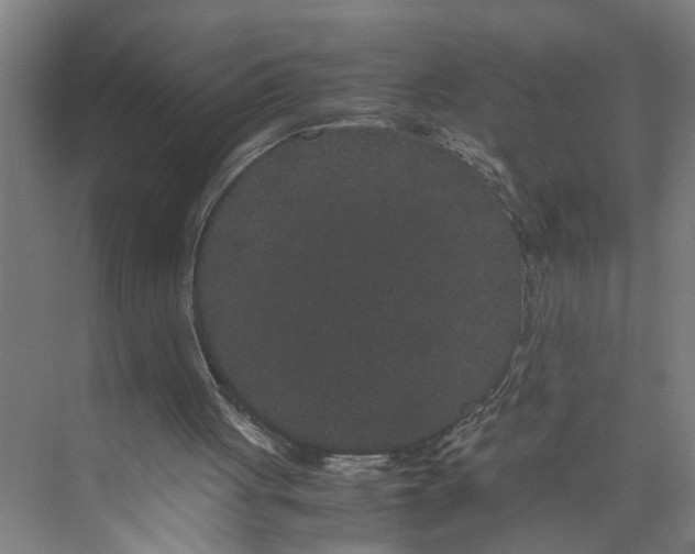 X0000071920051200608041445