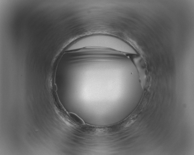 X0000071920060200608041445