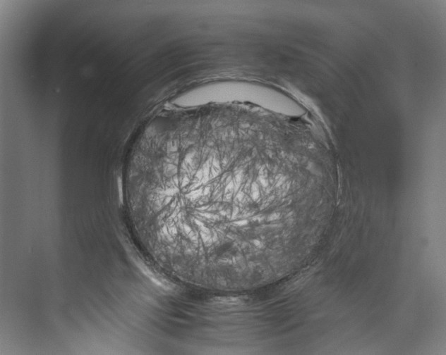 X0000071920061200608041445