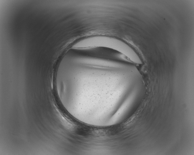 X0000071920062200608041445