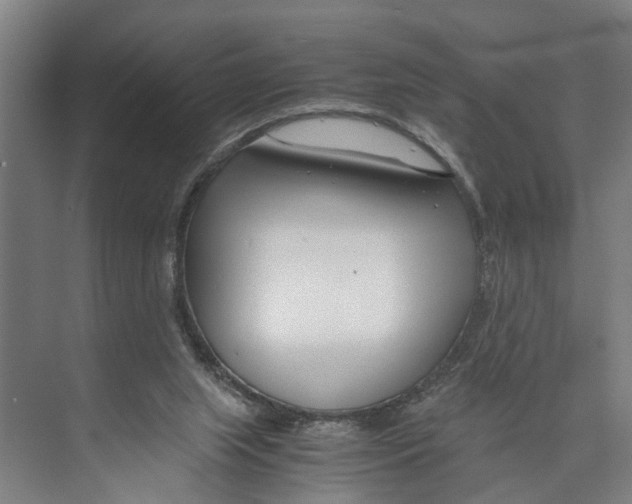 X0000071920063200608041445