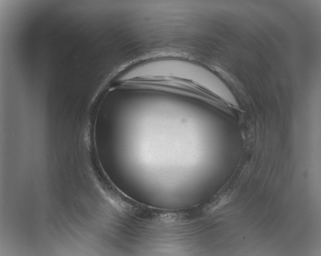 X0000071920064200608041445