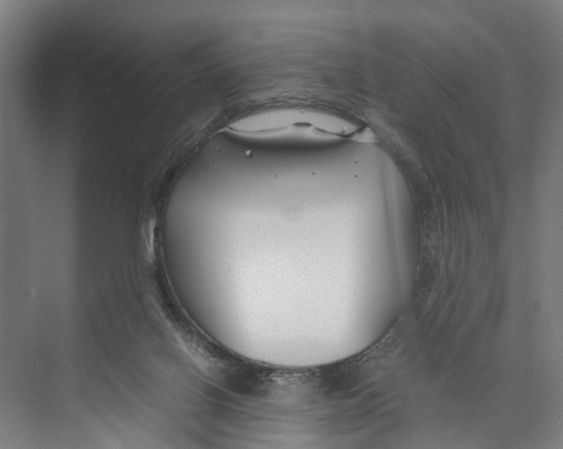X0000071920070200608041446
