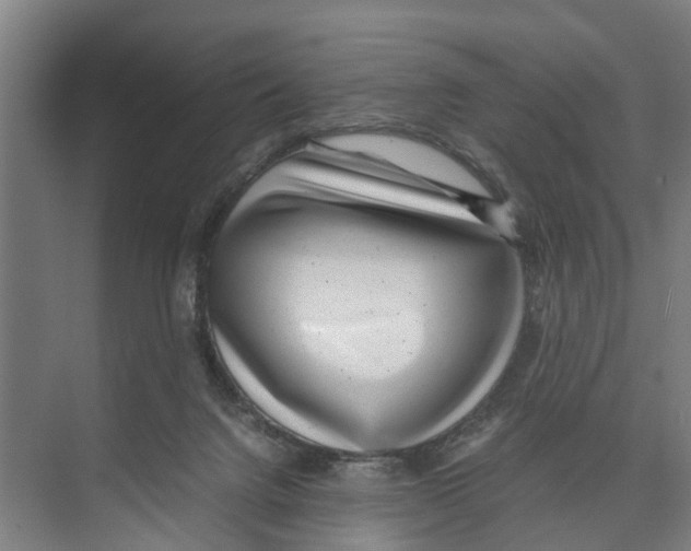 X0000071920072200608041446
