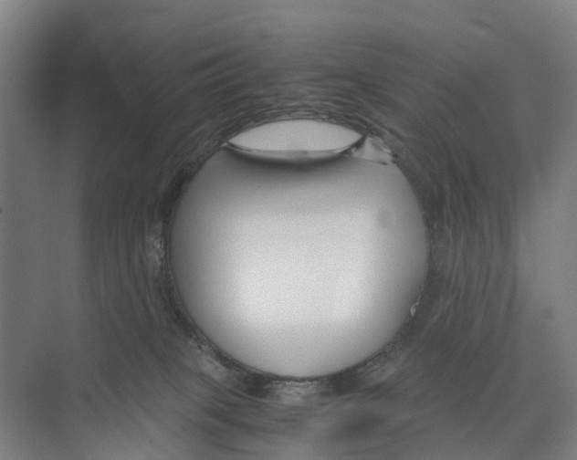 X0000071920085200608041446