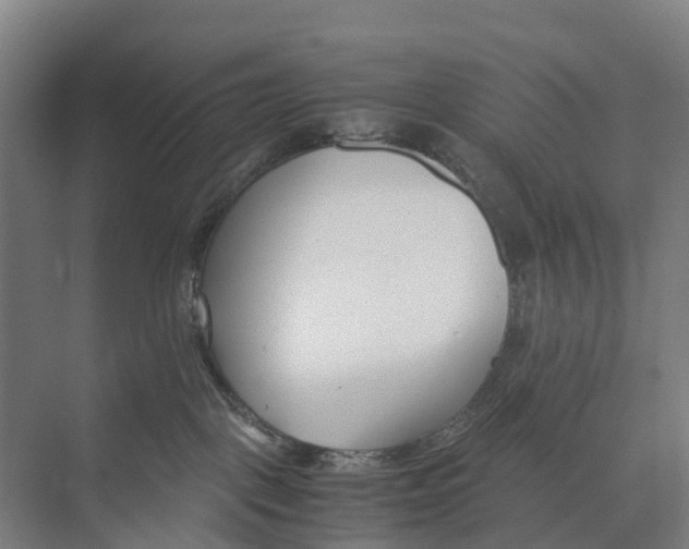 X0000071920093200608041446