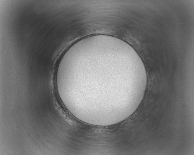 X0000071920098200608041445
