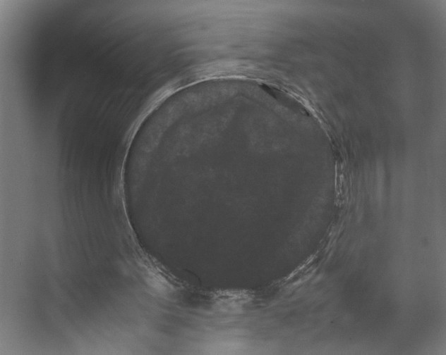 X0000071920099200608041445