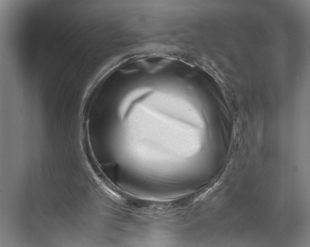 X0000071920101200608041445