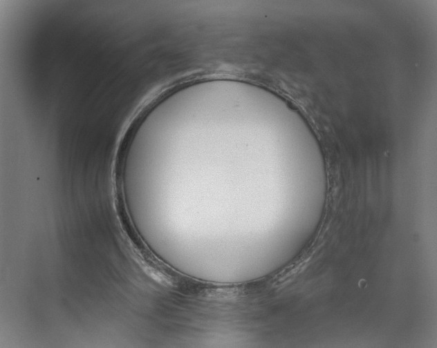 X0000071920102200608041445