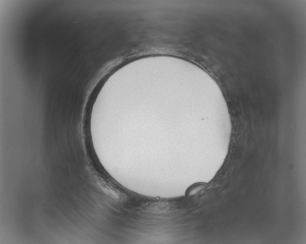X0000071920104200608041445