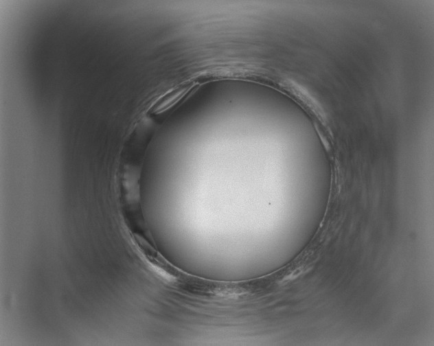 X0000071920105200608041445