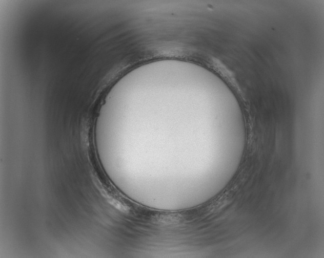 X0000071920106200608041445