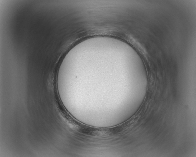 X0000071920107200608041445