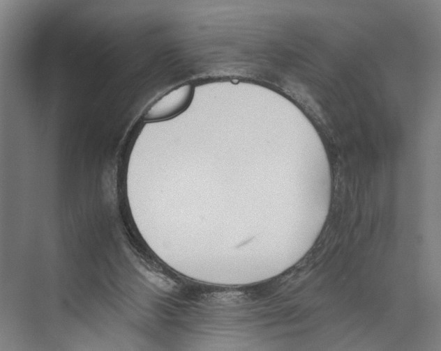 X0000071920108200608041445