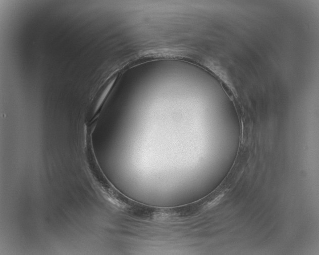 X0000071920109200608041445