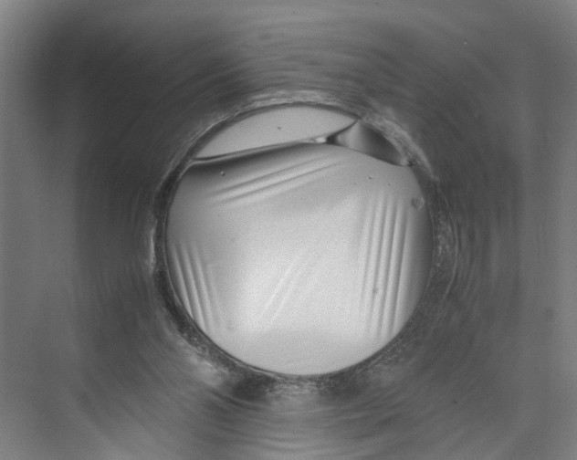 X0000071920110200608041445