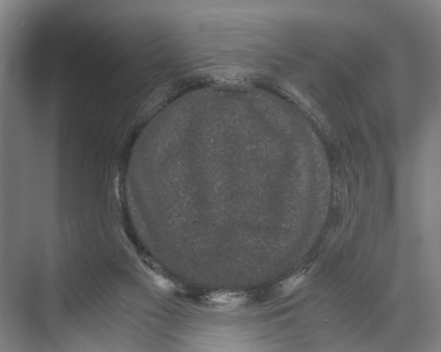 X0000071920117200608041445