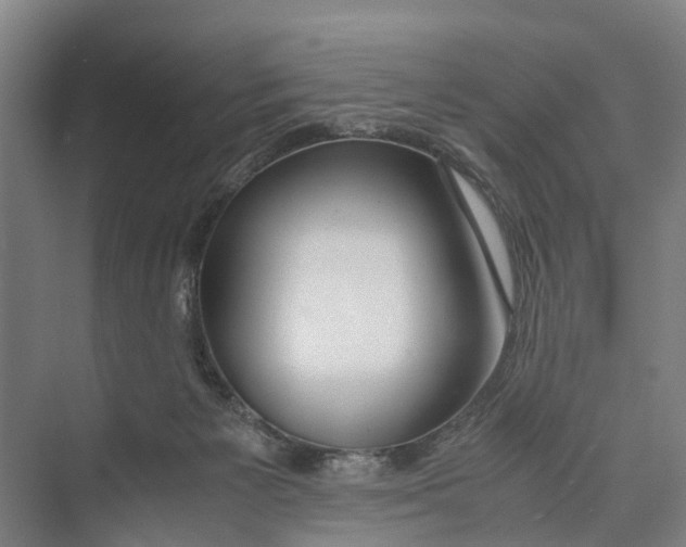 X0000071920125200608041445
