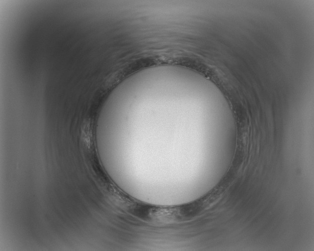 X0000071920129200608041445