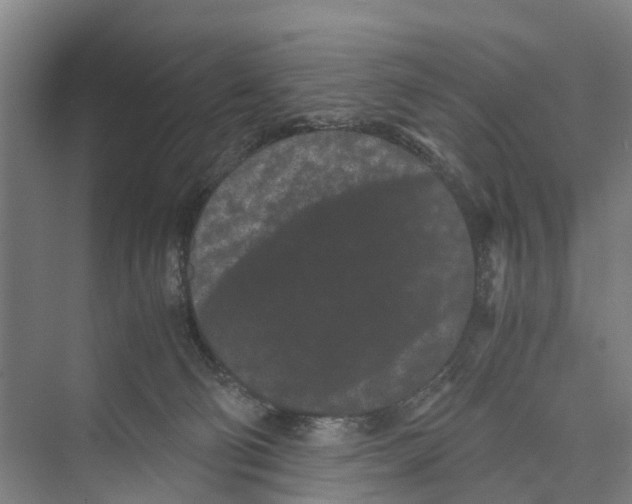 X0000071920130200608041445