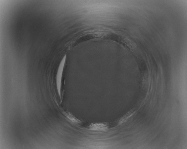 X0000071920137200608041445