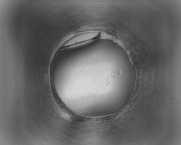 X0000071920148200608041444