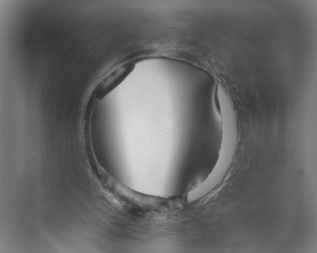 X0000071920150200608041444