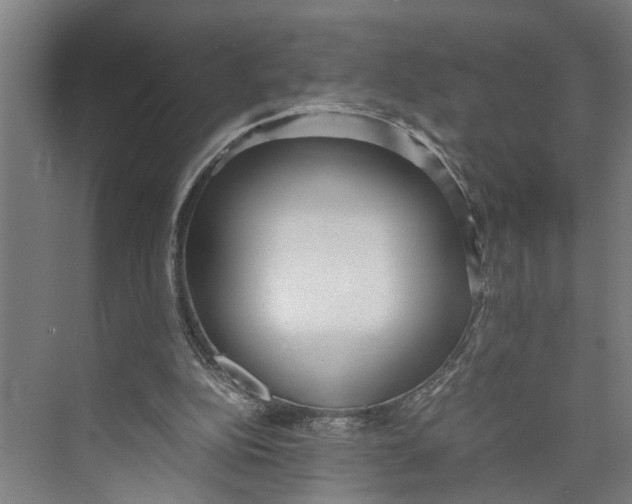X0000071920152200608041444