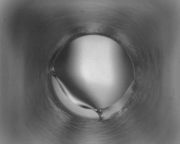 X0000071920164200608041444