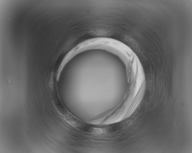 X0000071920167200608041444