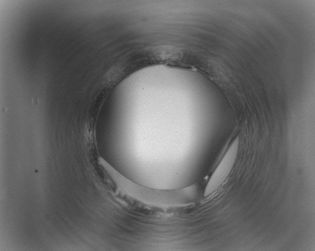 X0000071920176200608041444