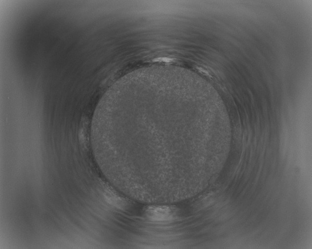 X0000071920181200608041444