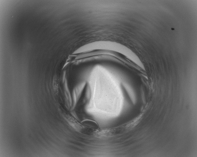 X0000071920186200608041444