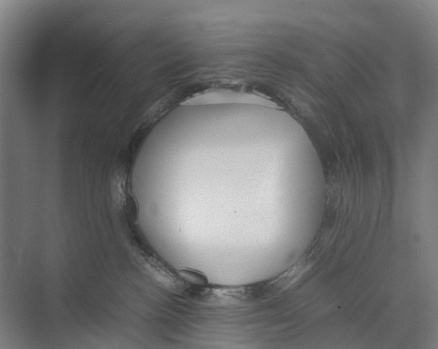X0000071920188200608041444