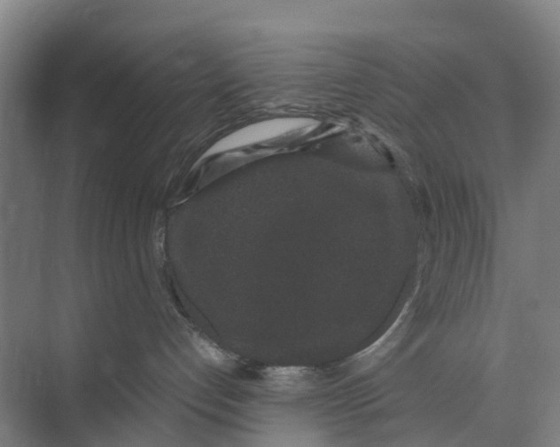 X0000071920192200608041444