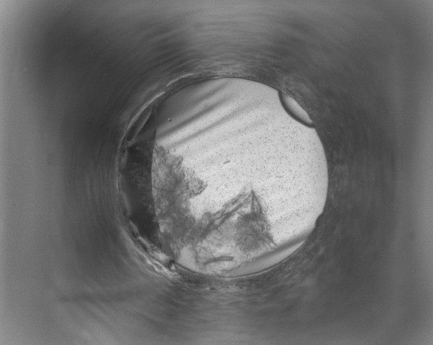 X0000071920194200608041444