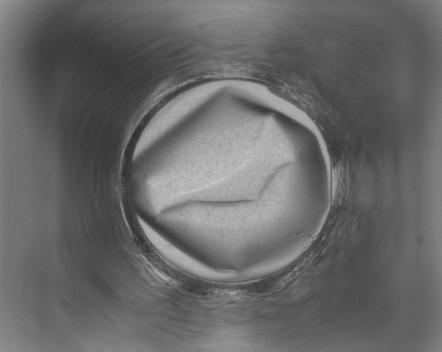 X0000071920195200608041444