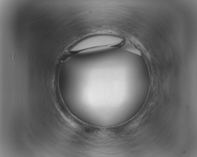 X0000071920201200608041443