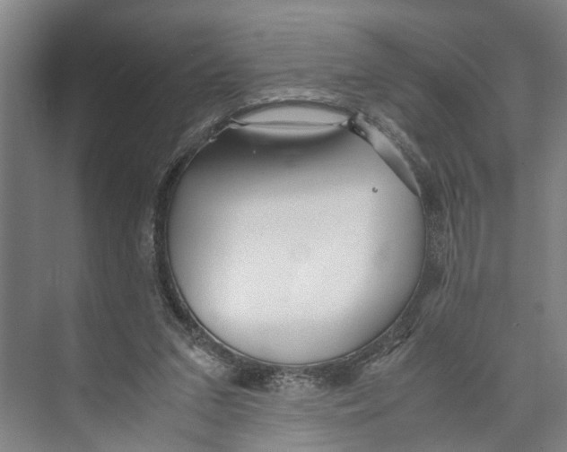 X0000071920207200608041443